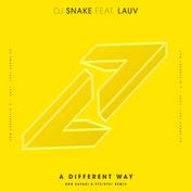 A Different Way (feat. Lauv) [Bro Safari & ETC!ETC! Remix] - Single