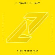 A Different Way (feat. Lauv) [Bro Safari & ETC!ETC! Remix]