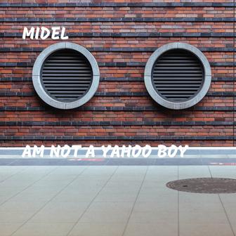 Am Not a Yahoo Boy - Single
