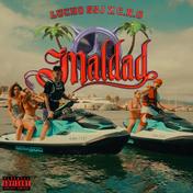 Maldad (feat. C.R.O) - Single
