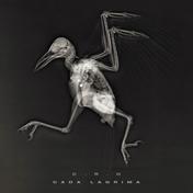 Cada Lágrima - Single