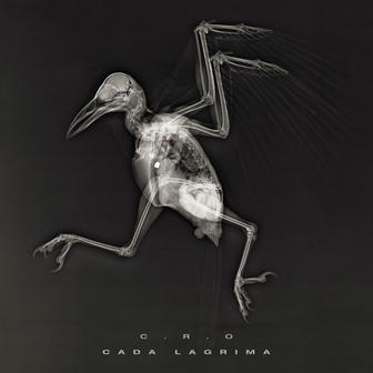 Cada Lágrima - Single