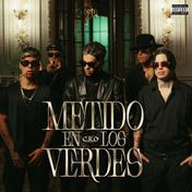 Metido en los verdes - Single