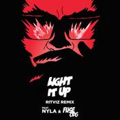 Light It Up (Ritviz Diwali Edition) [feat. Nyla & Fuse ODG] - Single
