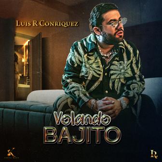 Volando Bajito - Single