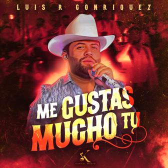 Me Gustas Mucho Tú - Single