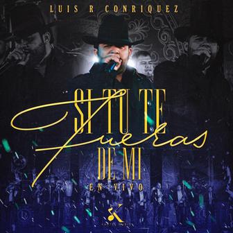 Si Tú Te Fueras de Mí (En Vivo) - Single
