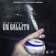 En Mis Dedos un Gallito (feat. Esteban Gabriel)