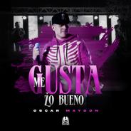 Me Gusta Lo Bueno (En Vivo)