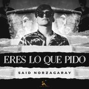 Eres Lo Que Pido - Single