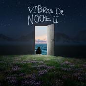 Vibras De Noche II