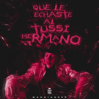 Qué Le Echaste al Tussi Hermano - Single
