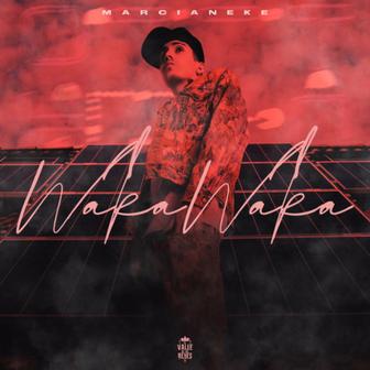 Waka Waka - Single