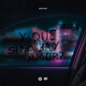 Y Qué Si No Hay Amor? - Single
