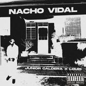 NACHO VIDAL