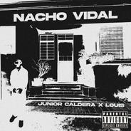 NACHO VIDAL
