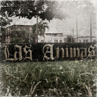 Las Ánimas - Single