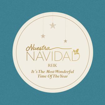 It's The Most Wonderful Time Of The Year - Single