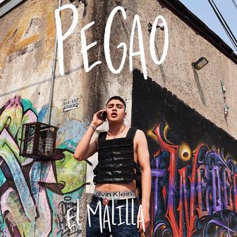 Pegao - Single