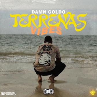 Terrenas Vibes - Single