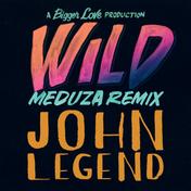 Wild (MEDUZA Remix) - Single