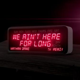 We Ain't Here For Long (TK Remix) - Single