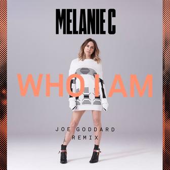 Who I Am (Joe Goddard Remix) - Single
