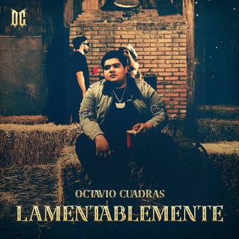 Lamentablemente - Single