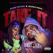 Take It (feat. Shani Boni & Diddy Mak)