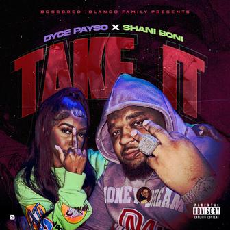 TAKE IT - Single (feat. Shani Boni & Diddy Mak) - Single