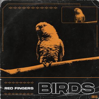 Birds - Single