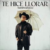 Te Hice Llorar - Single