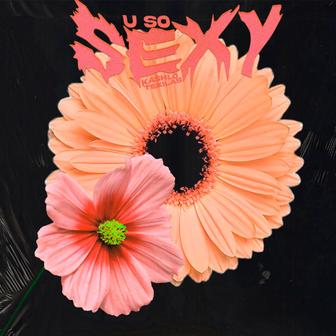 U So Sexy (feat. Kashlo) - Single