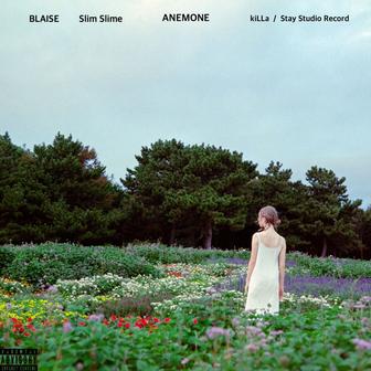 ANEMONE