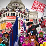 STORM THE CAPITOL