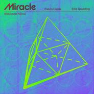 Miracle (with Ellie Goulding) - Wilkinson Remix