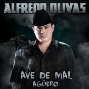 Ave De Mal Agüero - Single