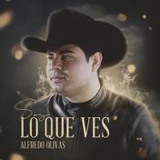 Soy Lo Que Ves - Single