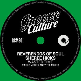 Wasted Time (Micky More & Andy Tee Mixes)