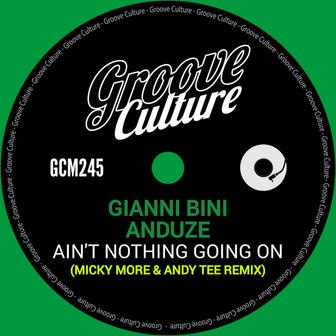 Ain't Nothing Going On (Micky More & Andy Tee Remix)