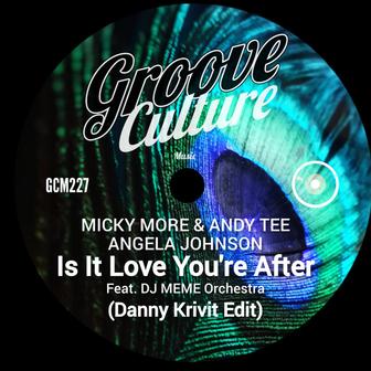 Is It Love You're After (Danny Krivit Edit)