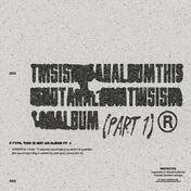 THIS IS NOT AN ALBUM (pt.1)
