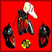 Butterflies (ft. KAINA [Serph Remix])
