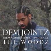 THE WOODZ