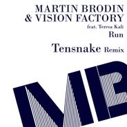 Run - Tensnake Extended Mix