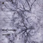 Surrounded (Calyx Remix)