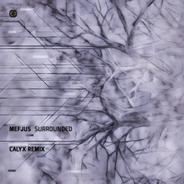 Surrounded - Calyx Remix