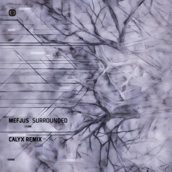 Surrounded (Calyx Remix)