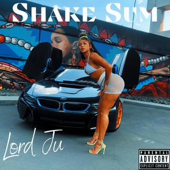 Shake Sum (Radio Edit) [Radio Edit] - Single