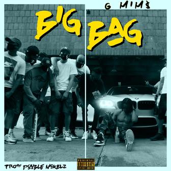 Big Bag - Single